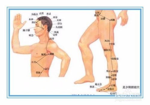 敲带脉减肥