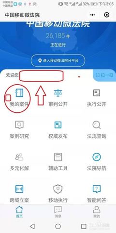 怎么查询案件进度