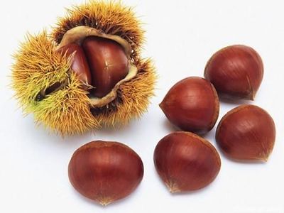刚怀孕可以吃板栗吗