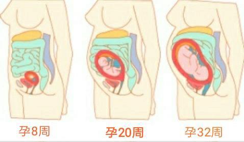 孕妇 耻骨联合分离