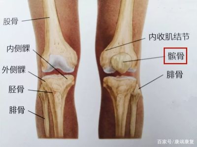 腓骨痛是怎么回事