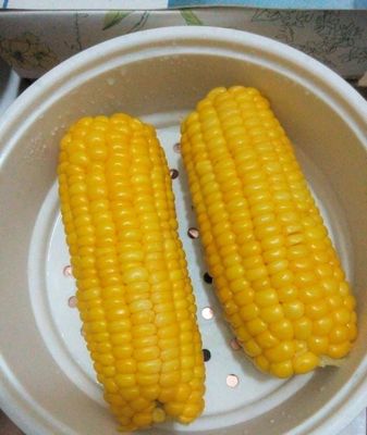 晚上吃玉米减肥么