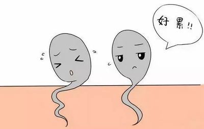 男人蛋蛋总是出汗是怎么回事