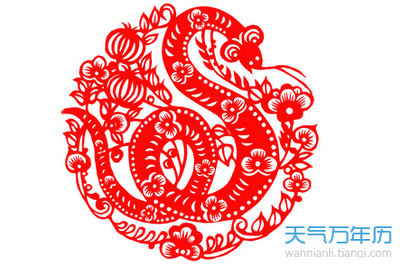 2001年属蛇什么命