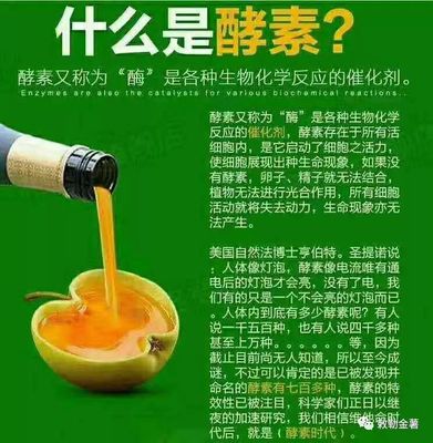 土豆酵素的作用与功效