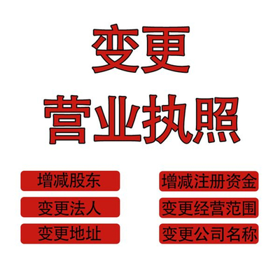 公司变更法人股东流程