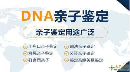 医院亲子鉴定挂什么科
