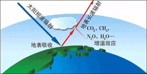 二氧化碳高是怎么回事