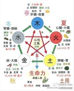 人五行