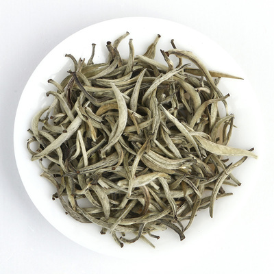 福建福鼎白茶