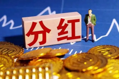 小公司股东如何分红