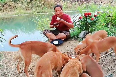 做梦捡鸭蛋是什么意思