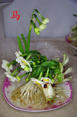 水仙花指什么生肖