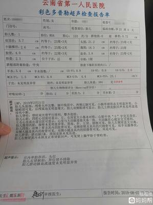 单肾宝宝