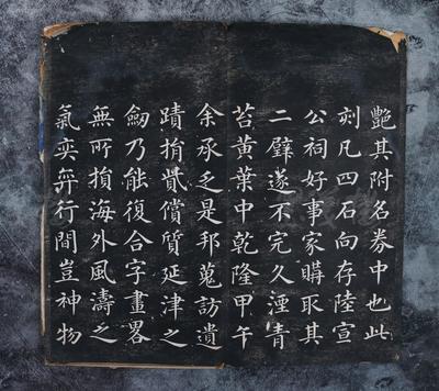 苏 五行