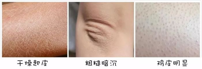 粗糙的糙怎么拼