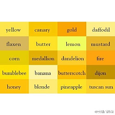 黄颜色的各种颜色叫法
