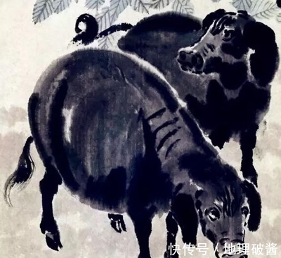 瞻前顾后的生肖