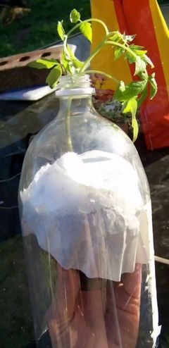 广西5斤塑料瓶