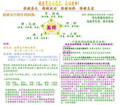 乐的五行