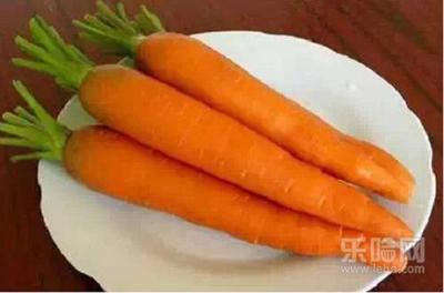 9个月宝宝可以吃白萝卜吗