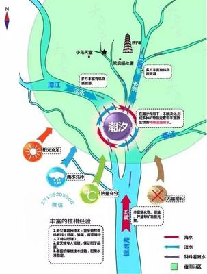 新会是哪里的