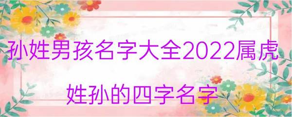 孙姓四字名字大全男孩