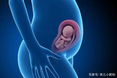 几个月才能知道怀孕