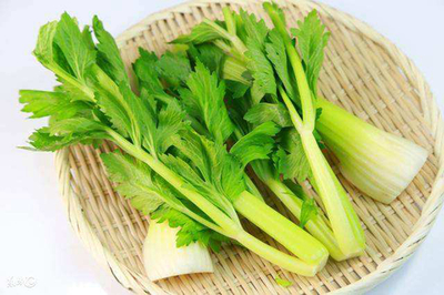 经常吃芹菜可以减肥吗