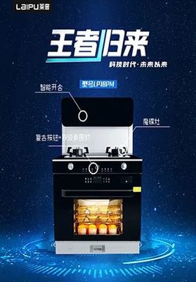 莱普厨房电器代言人