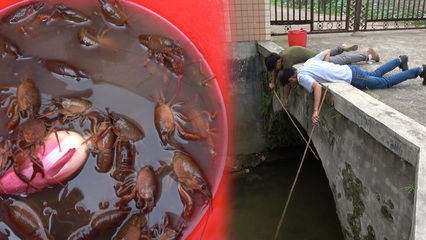 孕妇梦见吃龙虾