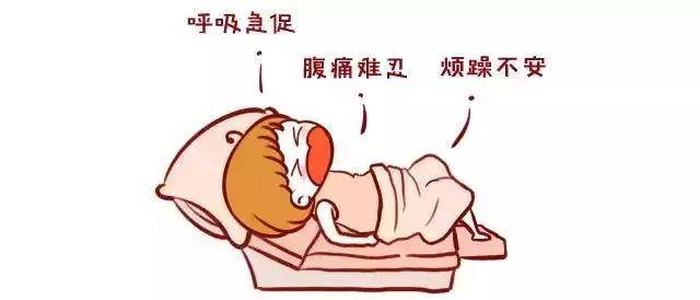 孕妇咳嗽肚子疼