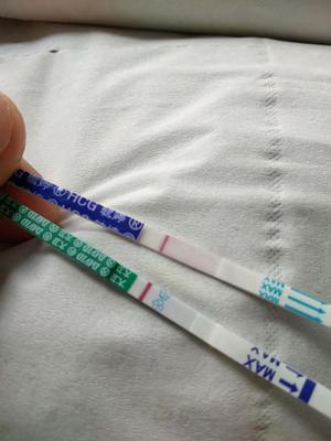 怀孕试孕纸图片
