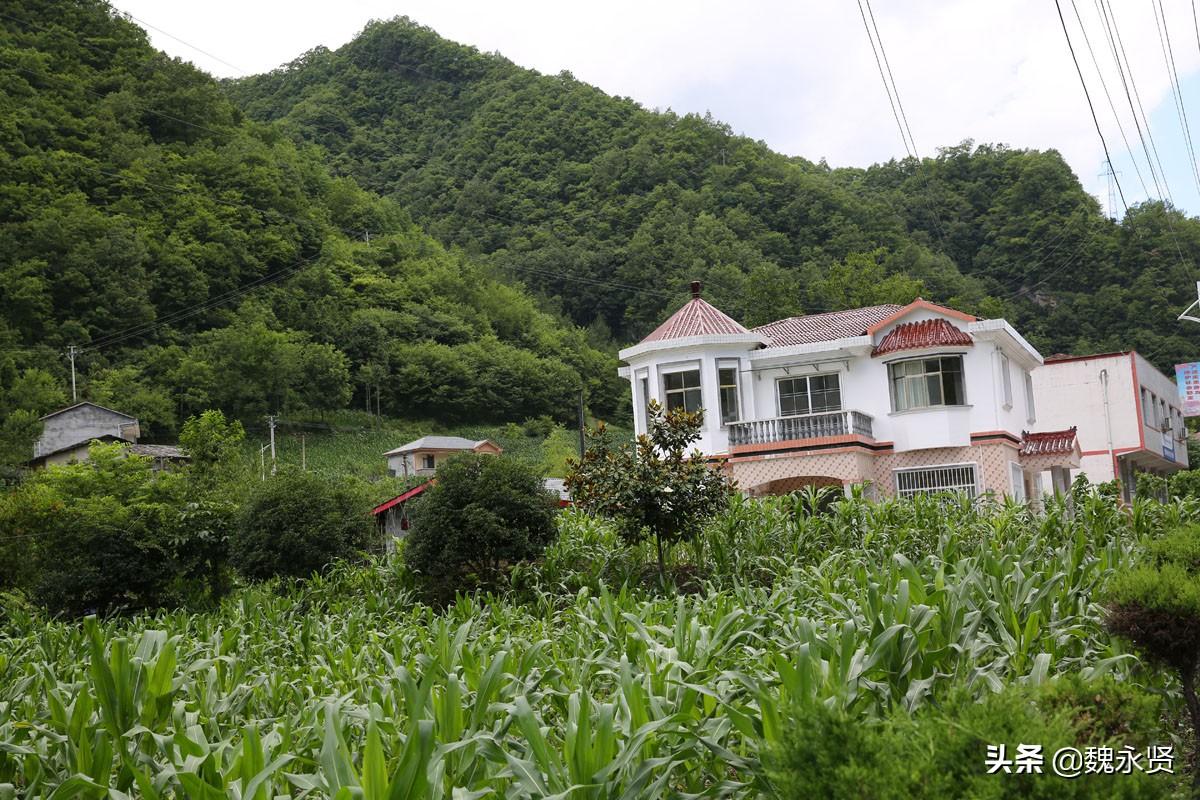山里的房子图片