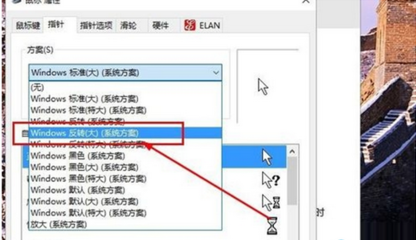 电脑鼠标指针不动