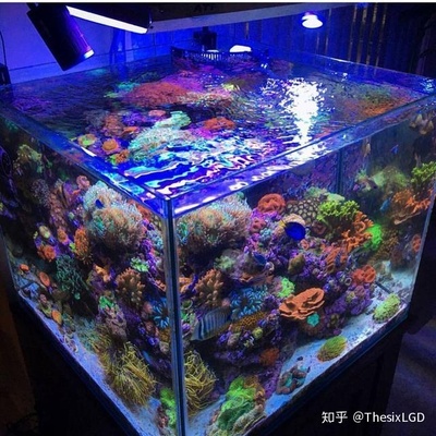 海水缸底滤设计图