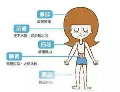 口苦舌苔白是怎么回事