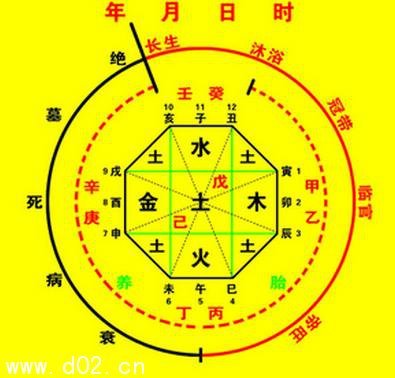 1995年五行属什么命