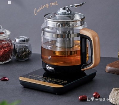 养生壶可以放冰箱吗