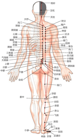疟疾点疼是怎么回事