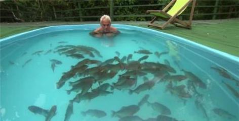 养食人鱼风水大忌