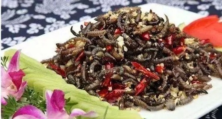 野味饭店名字大全