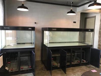 阜新觀賞魚店（阜新觀賞魚店視頻大全）