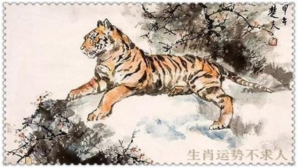 生肖虎今天运势