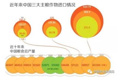 我国为什么要大量进口粮食