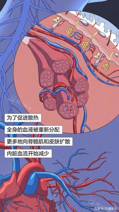 人体失血多少会死?一般人