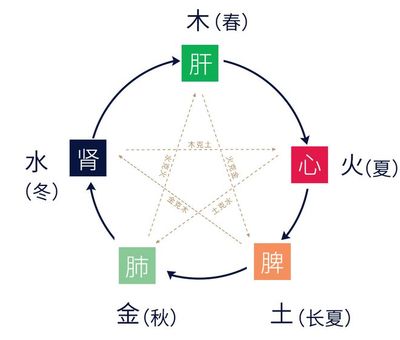 春字属于五行属什么