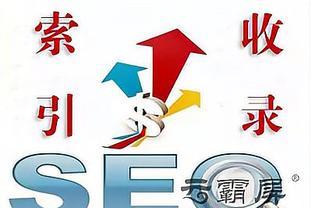 seo优化指令查询检索