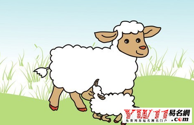 属羊是哪一年的