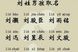刘姓男宝宝起名